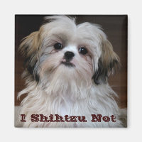 I Shihtzu Not funny shih tzu fridge magnet