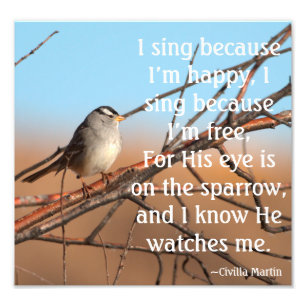 I sing because I'm happy Sparrow Photo Print