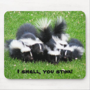 I SMELL You STINK! Mouse Pad