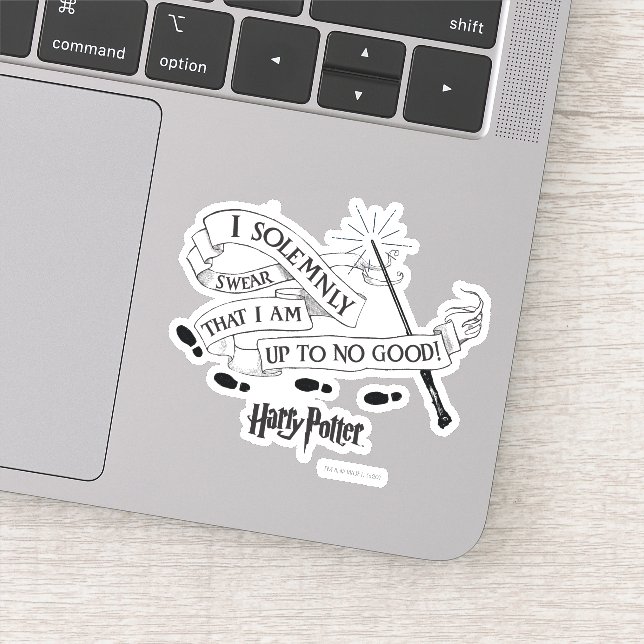 I Solemnly Swear That I Am Up To No Good (Detail)