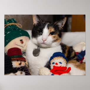 I Spy A Calico Poster