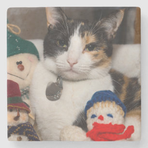 I Spy A Calico Stone Coaster