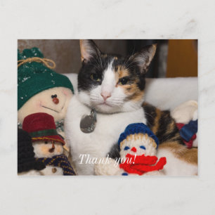 I Spy A Calico Thank You Postcard