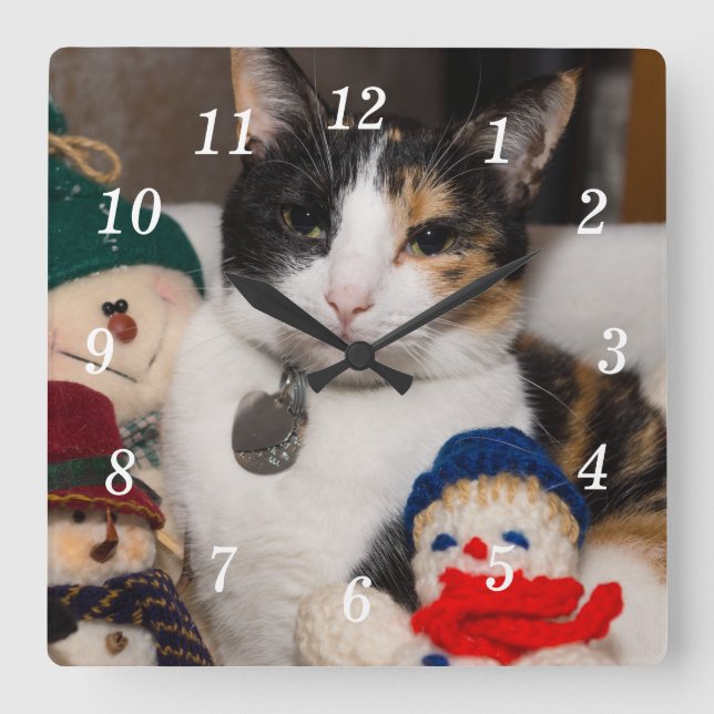 I Spy A Calico Wall Clock (Front)