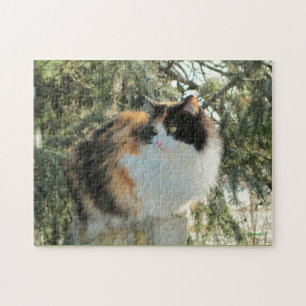 I spy with my cold eye jigsaw puzzle