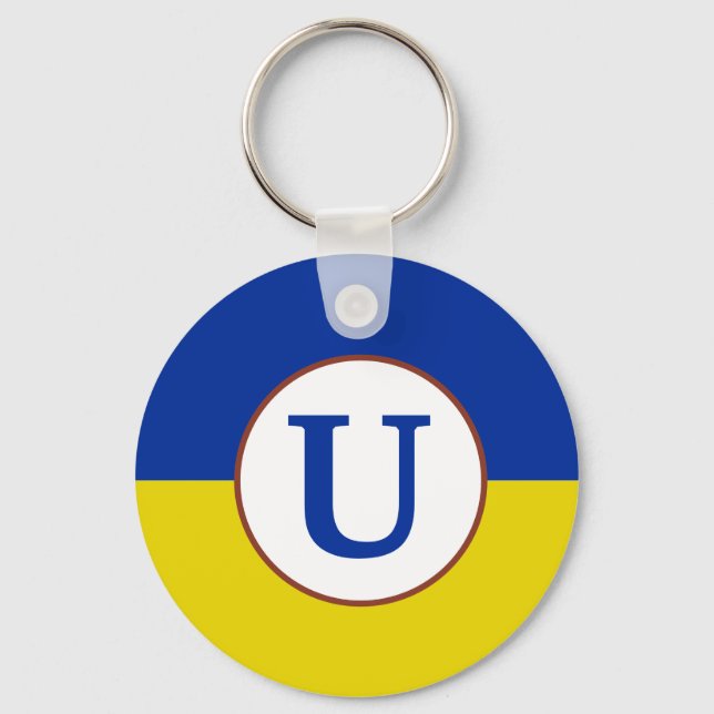 I stand with Ukraine blue yellow flag monogram Key Ring (Front)