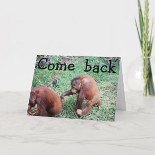 I Still Love You Valentine's Day Holiday Card