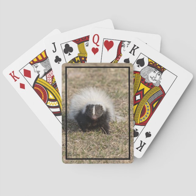 I Stink  At Cards (Back)