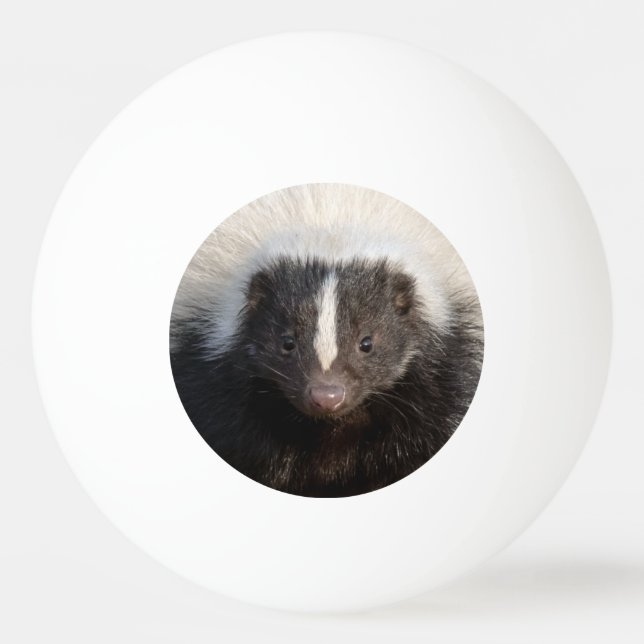 I Stink At Ping Pong Ball (Front)