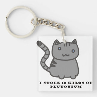 I stole 10 kilos of plutonium cat key ring
