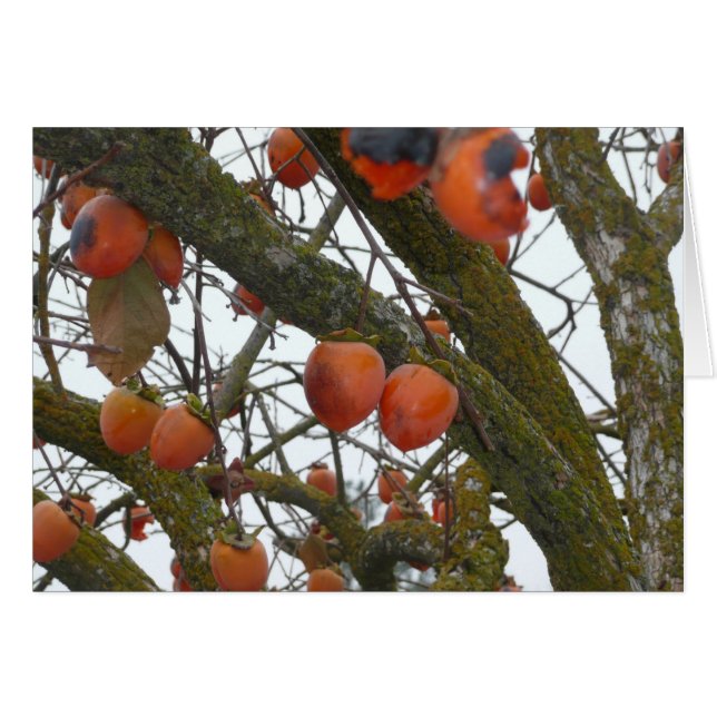 "I sure like hanging out with you." (Front Horizontal)