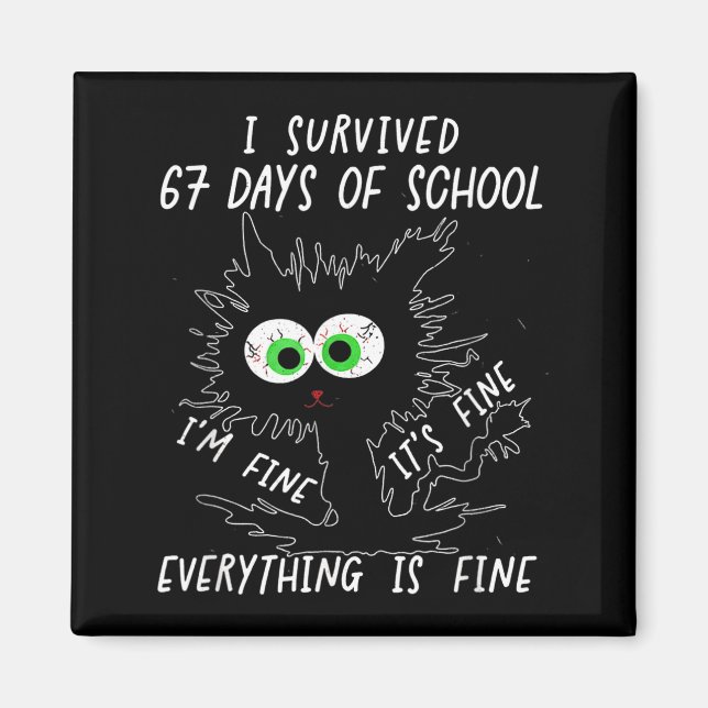 I Survived 67 Days Of School Funny Six Seven  Magnet (Front)