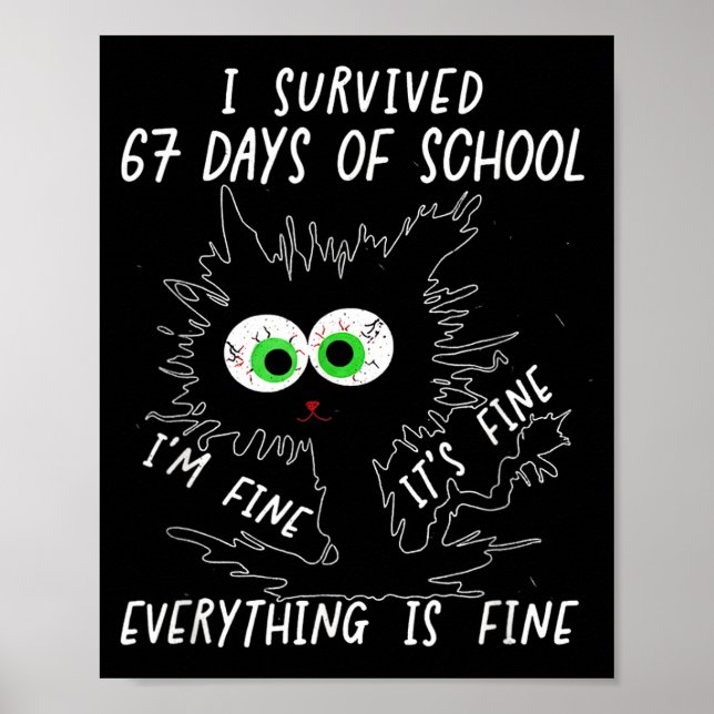 I Survived 67 Days Of School Funny Six Seven  Poster (Front)