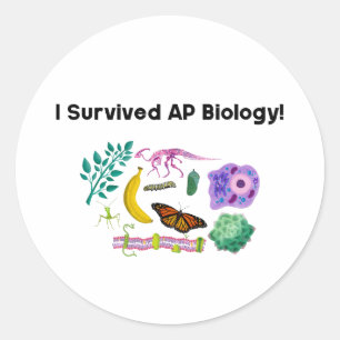 I Survived AP Biology! Classic Round Sticker