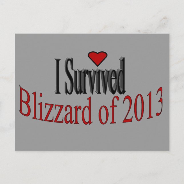 I Survived Blizzard 2013 Postcard (Front)