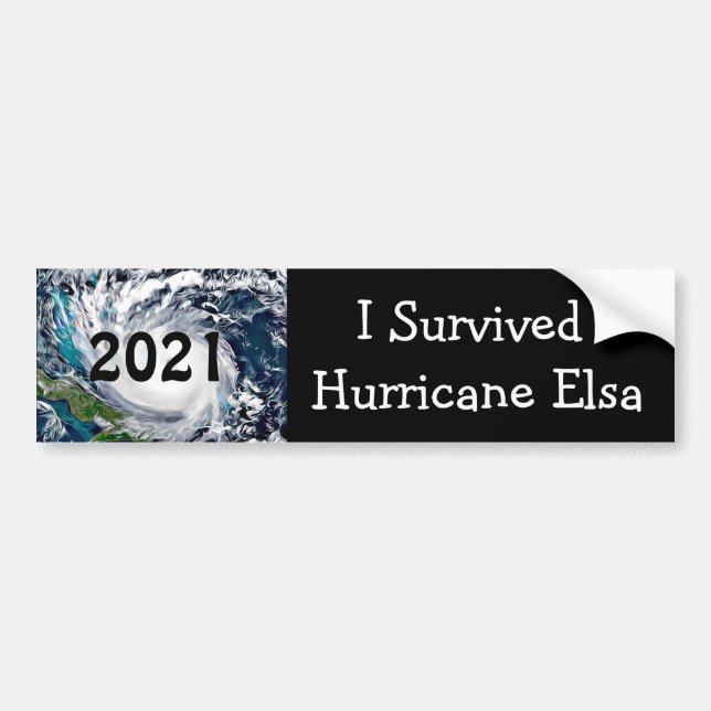 I Survived Hurricane Elsa 2021  Bumper Sticker (Front)