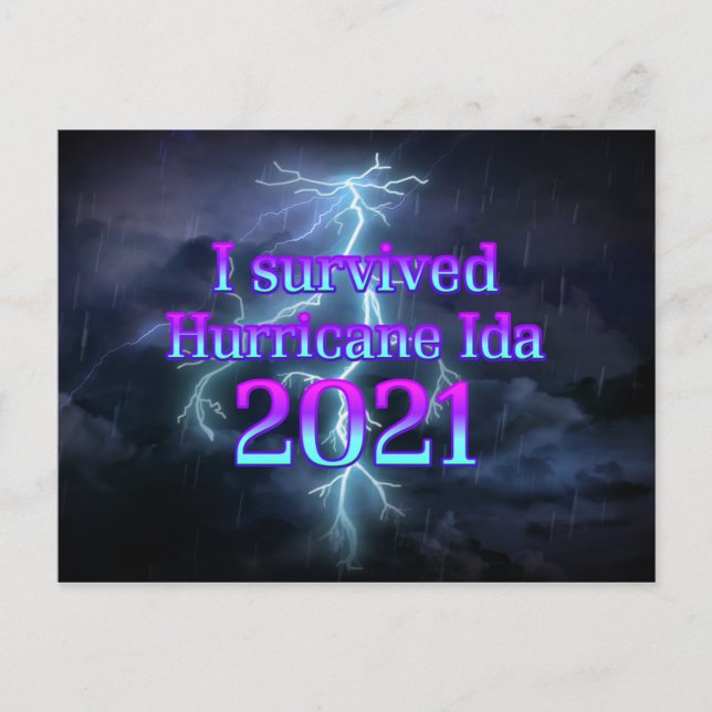 I survived Hurricane Ida Postcard (Front)