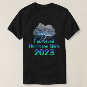 I survived Hurricane Idalia 2023 T-Shirt
