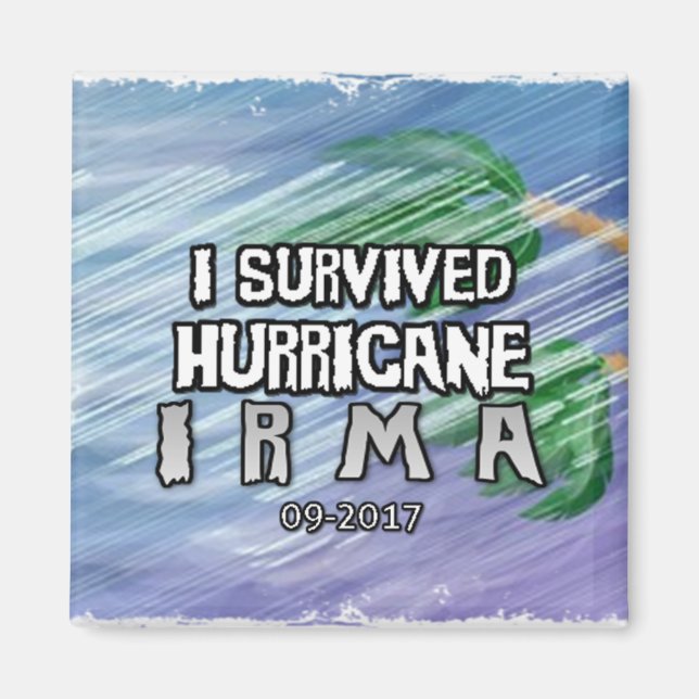 I survived Hurricane Irma Magnet (Front)