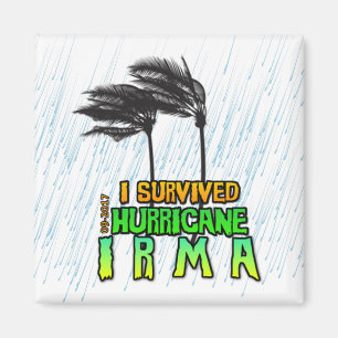 I survived Hurricane Irma Magnet