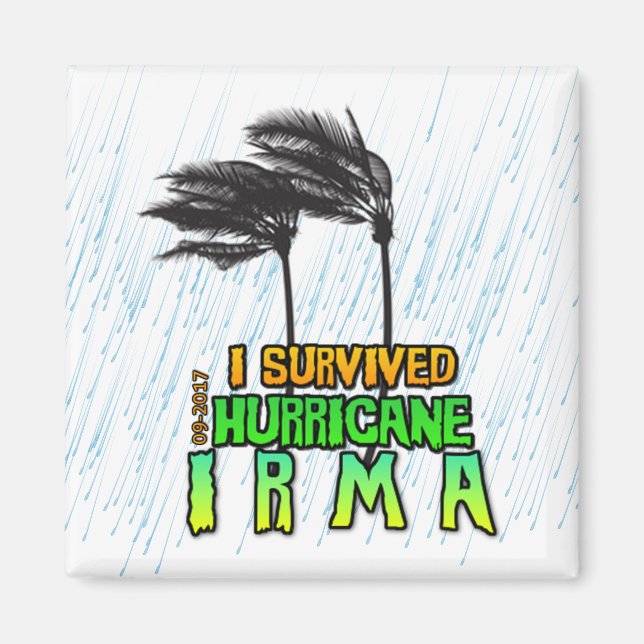 I survived Hurricane Irma Magnet (Front)