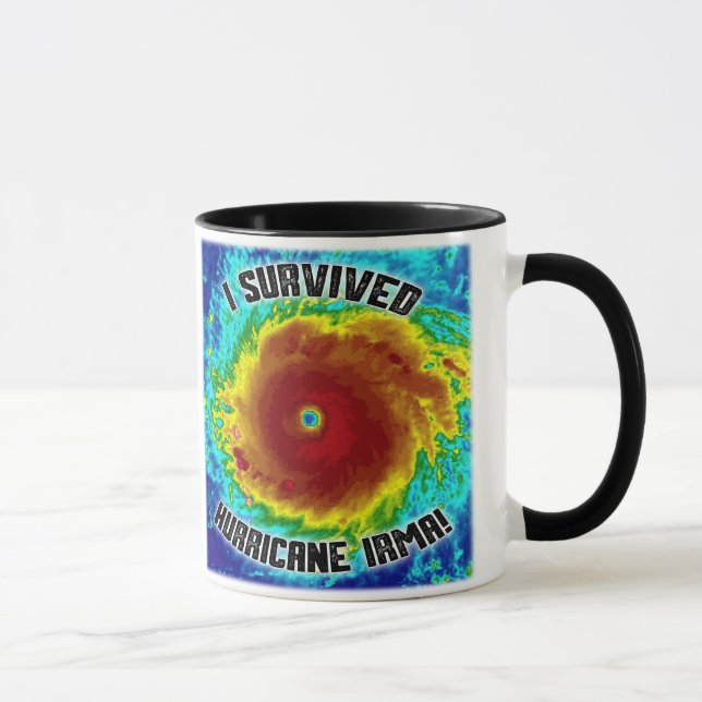 I Survived Hurricane Irma Mug (Right)