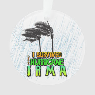 I survived Hurricane Irma Ornament