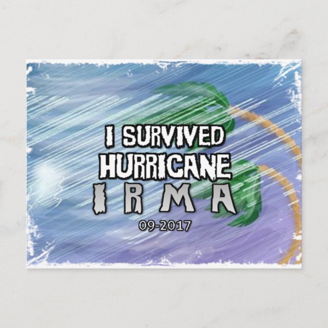 I survived Hurricane Irma Postcard (Front)