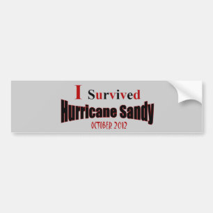 I Survived Hurricane Sandy Bumper Sticker