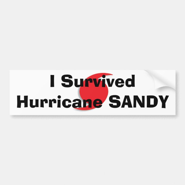 I Survived Hurricane SANDY bumpersticker Bumper Sticker (Front)