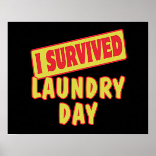 I SURVIVED LAUNDRY DAY POSTER