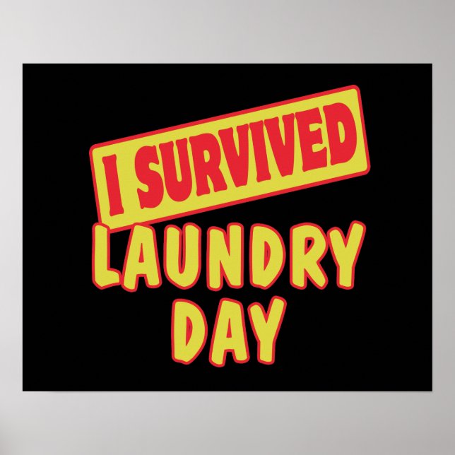 I SURVIVED LAUNDRY DAY POSTER (Front)