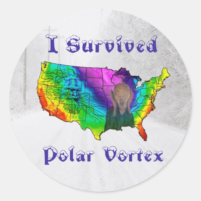 I Survived Polar Vortex Classic Round Sticker (Front)