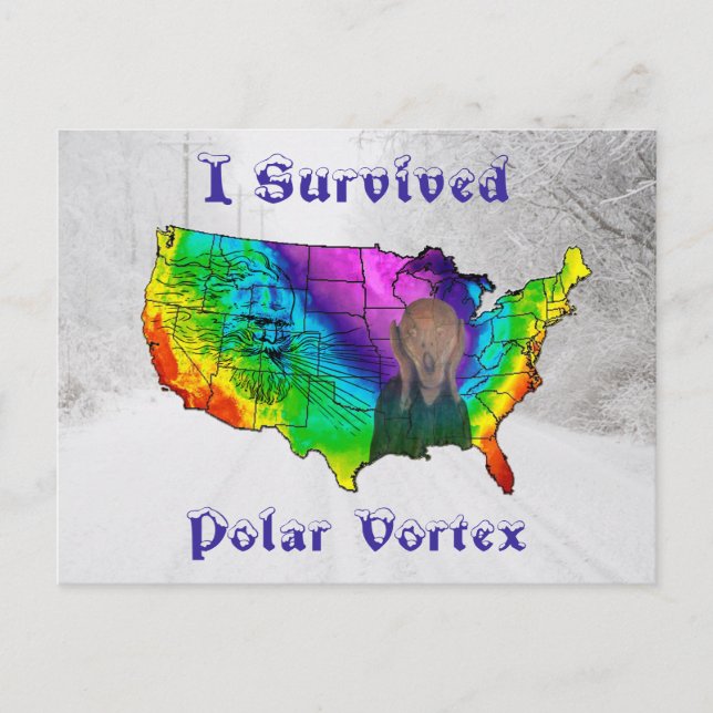 I Survived Polar Vortex Postcard (Front)