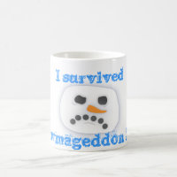 I survived Snowmageddon 2010