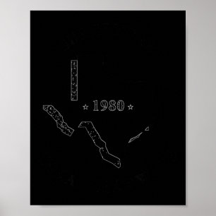 I survived the 1980 texas heat wave cool retro poster