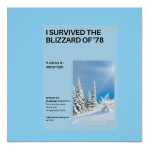 I Survived The Blizzard of '78 Poster