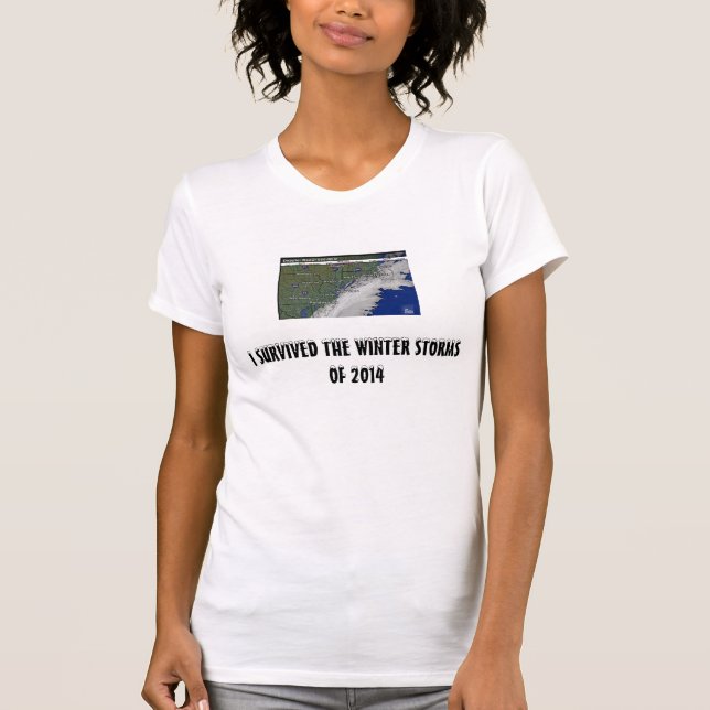 I SURVIVED THE WINTER STORMS  OF 2014 T-Shirt (Front)