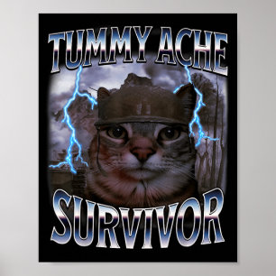 I Survived Today's Tummy Ache Funny Silly Cat Meme Poster