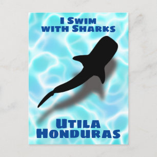 I Swim with Sharks Utila, Honduras Whale Shark Postcard