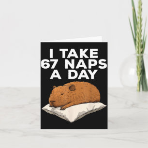 I Take 67 Naps A Day Funny Capybara Six Seven Meme Card