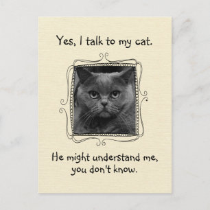 I Talk to My Cat   Funny Custom Postcard