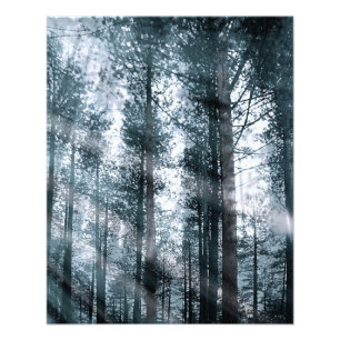 I Talk to the Trees... Photo Print