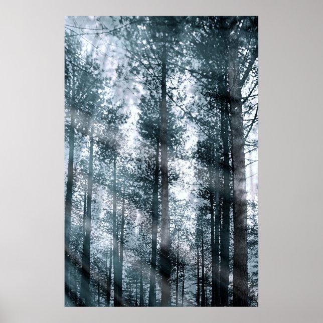 I Talk to the Trees... Poster (Front)