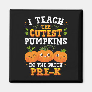 I Teach the Cutest Pre-K Pumpkins Halloween Teache Magnet