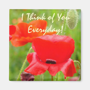 I Think of You Everyday! magnet Red Poppy Flowers