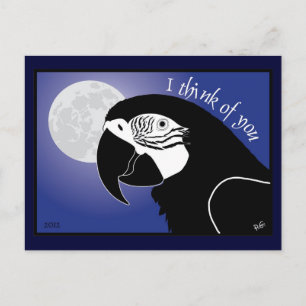 I think of you Postkarte Postcard