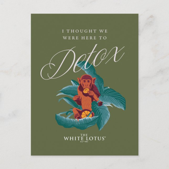 I Thought We Were Here to Detox - The White Lotus Postcard (Front)