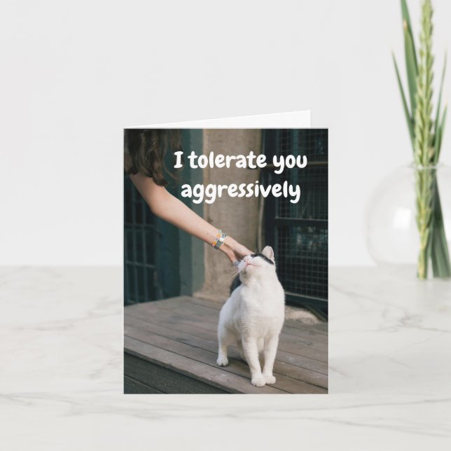 I Tolerate You Funny From the Cat Card (Front)