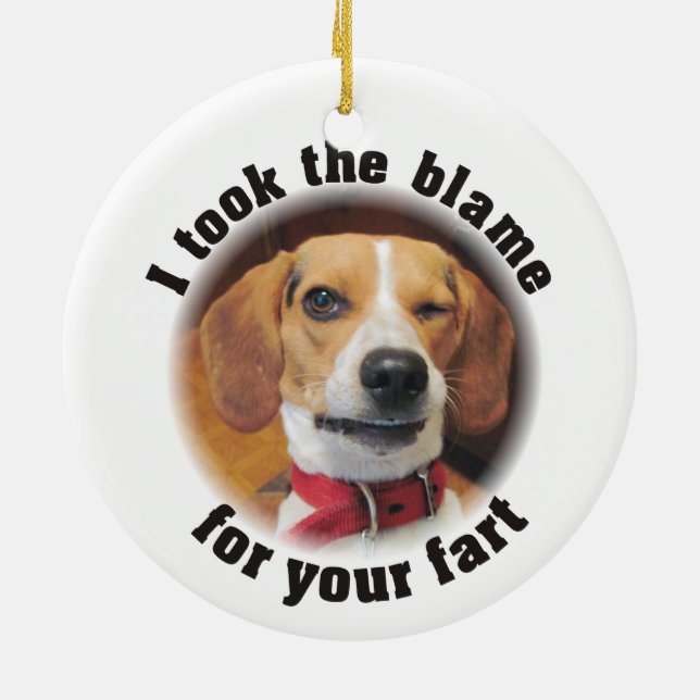 I Took The Blame For Your Fart Christmas Ornament (Back)
